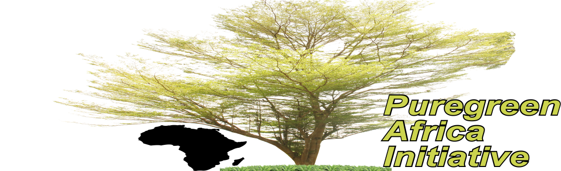 Puregreen Africa Initiative